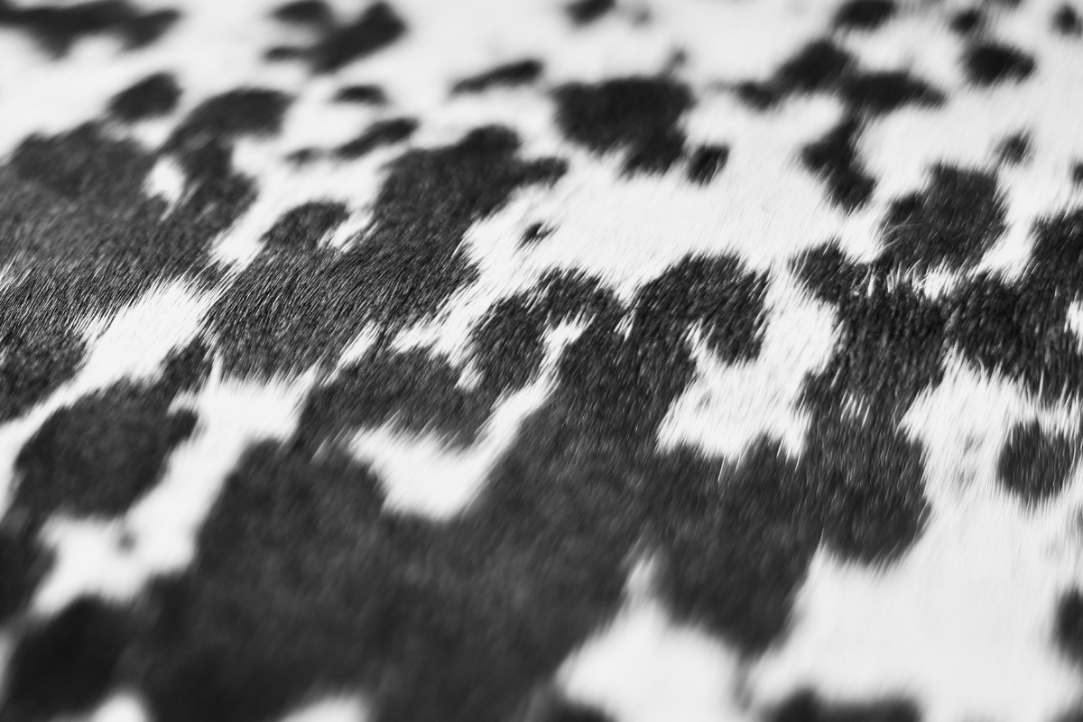 Natural hair-on cowhide close-up on a Hyna leather handbag showing black and white hide pattern